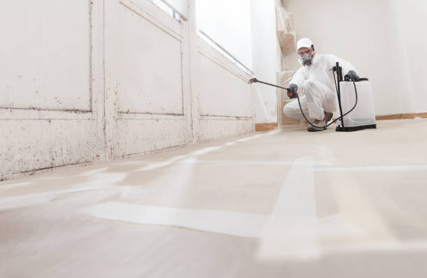 24/7 Emergency Crawl Space Mold Removal experts in Elkton, VA